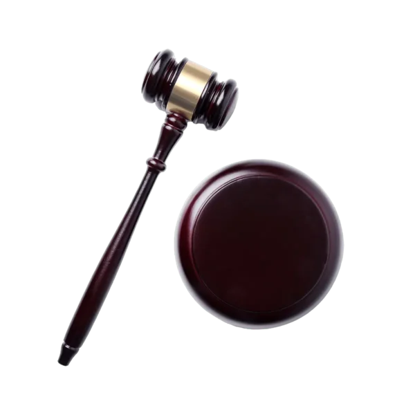 Judge Hammer